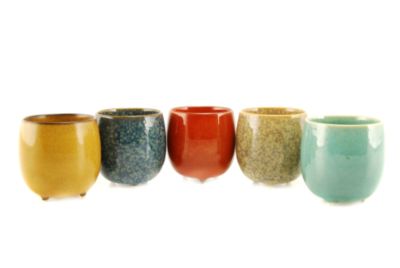 Go Crackle Tea Cup Set of 5
